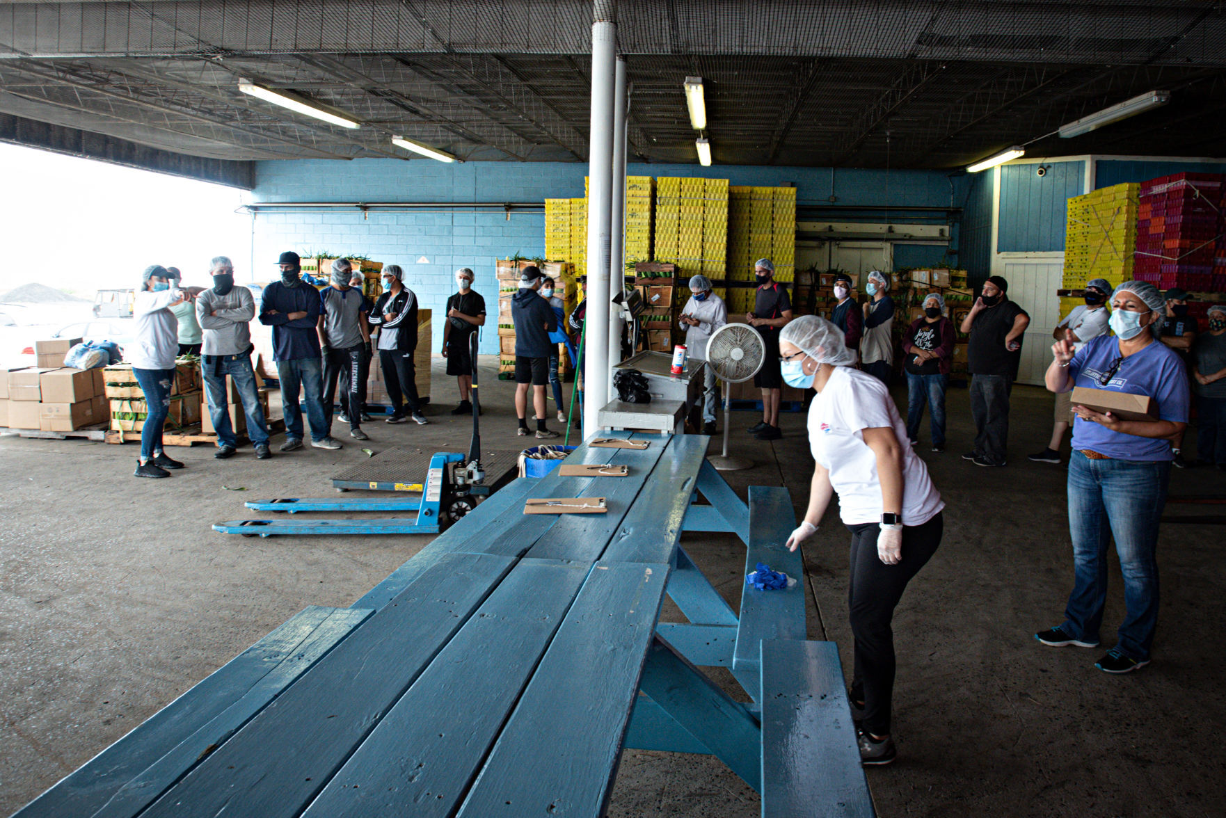 080120_nws_fooddrive